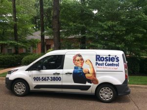 Rosies Pest Control, Pest Control For Homes and Businesses