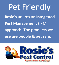 Rosie's Pest Control, Call (901) 567-0380 for Service