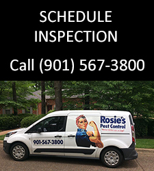 Schedule Free Inspection