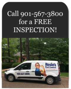 Free Pest Control Inspection